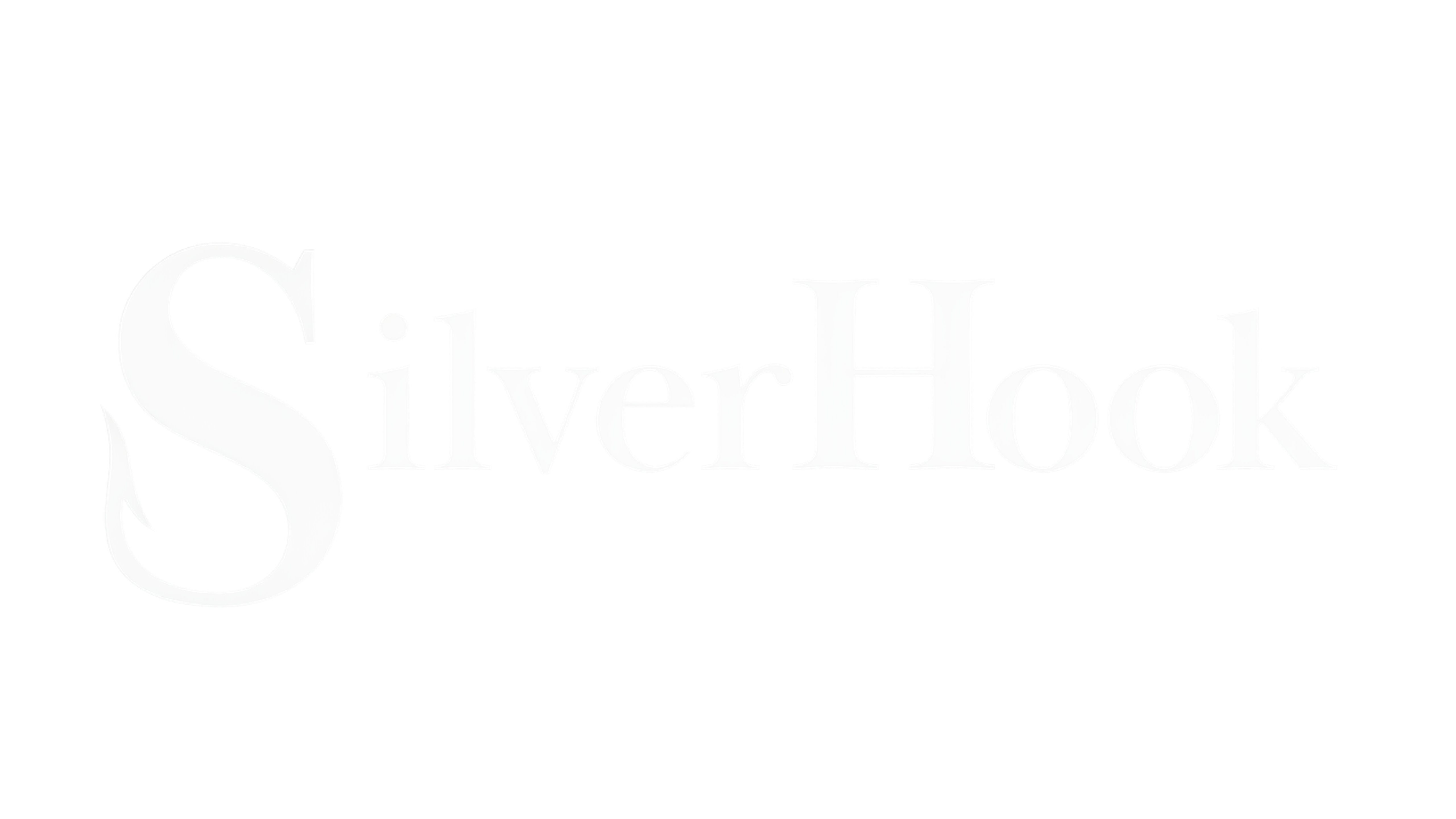 Silver Hook Capital